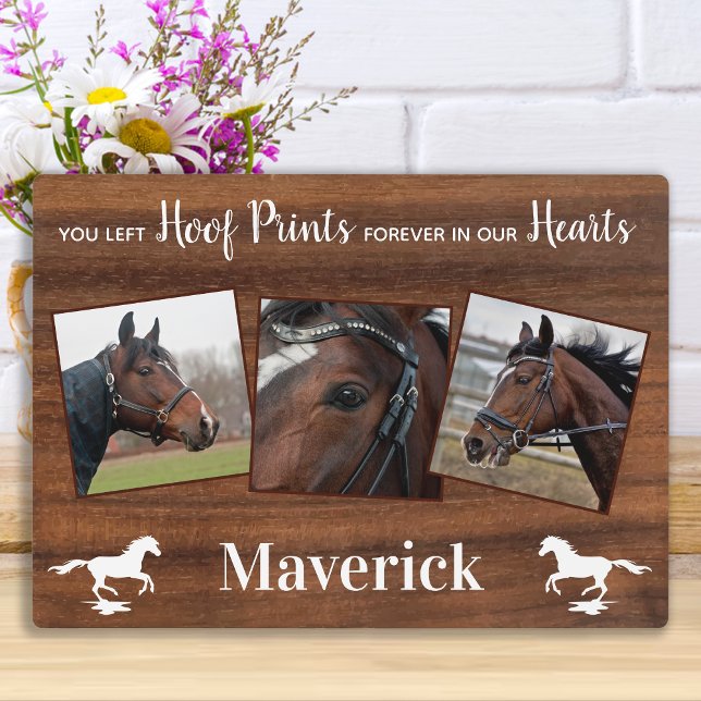 Gedenkstätte für Rustikales Pferd Fotoplatte (Von Creator hochgeladen)