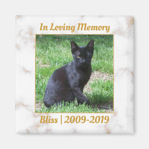 Gedenkstätte für weißes und goldenes Marmor Magnet