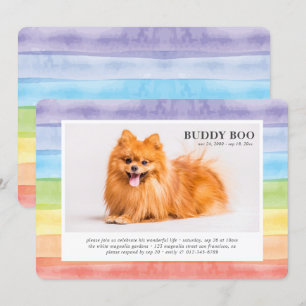 Gedenkstätte  Modern Watercolor Rainbow Pet Foto Einladung