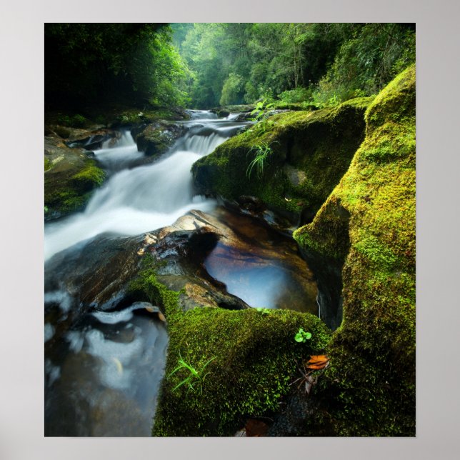 Gedicht: Chattooga River Wasserfall Poster (Vorne)