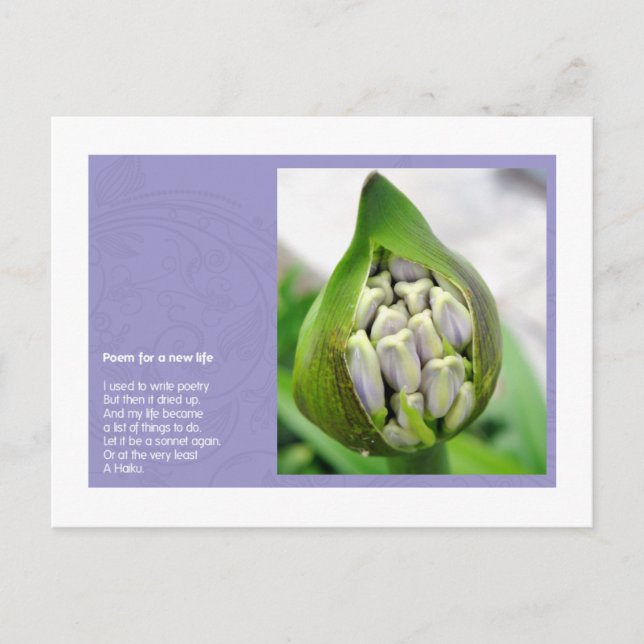 Gedicht für ein neues Leben Postkarte (Vorderseite)