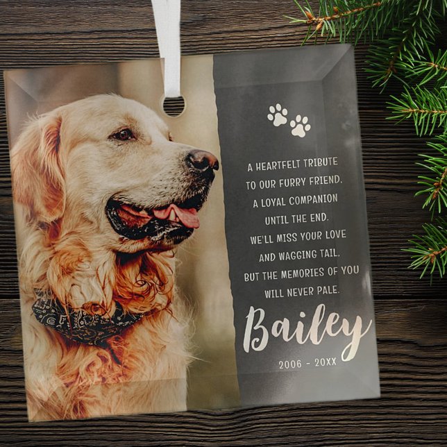 Gedicht zur Erinnerung an Begleiter Modernes, einf Ornament Aus Glas (Von Creator hochgeladen)