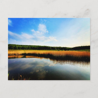 Gedling Country Park Postkarte