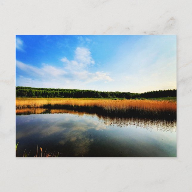 Gedling Country Park Postkarte (Vorderseite)