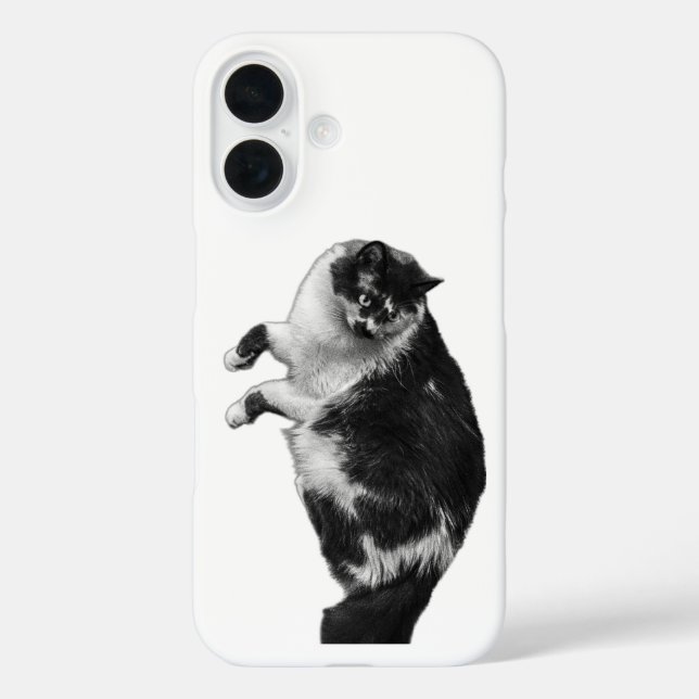 Gedreht Whiskers Cat Phone Case (Rückseite)