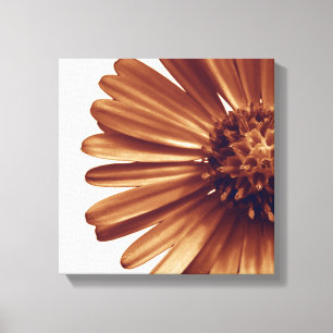 Gedruckte Leinwand, Blüte, Aster Leinwanddruck