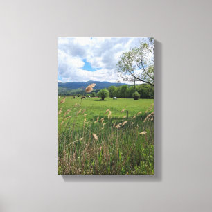 Gedruckte Spannleinwand Leinwanddruck