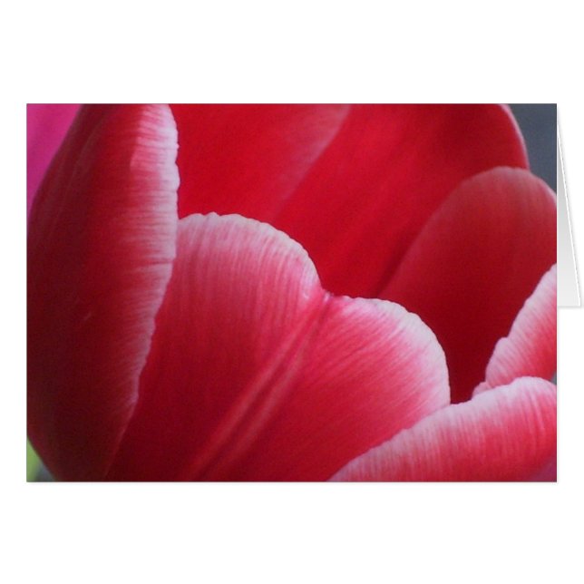 Geduld (Vorderseite (Horizontal))