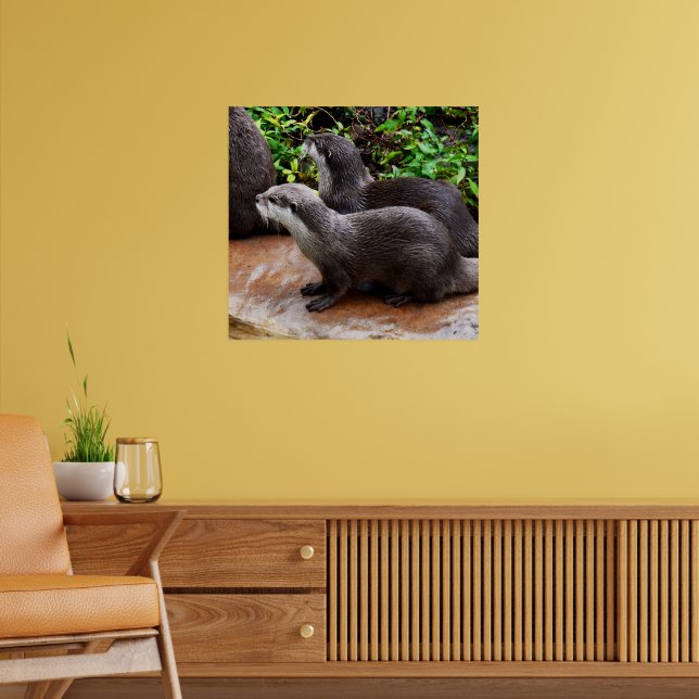 **"Geduld am Wasser: Zwei kleine graue Otters Poster (Wohnzimmer 2)