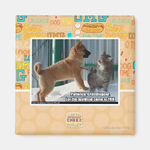 Geduld, Grasshopper. Magnet