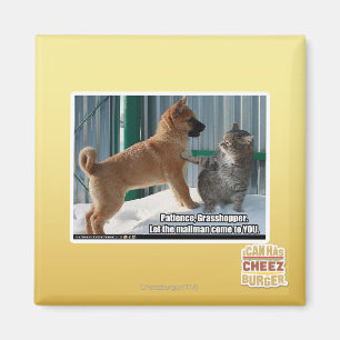 Geduld, Grasshopper. Magnet