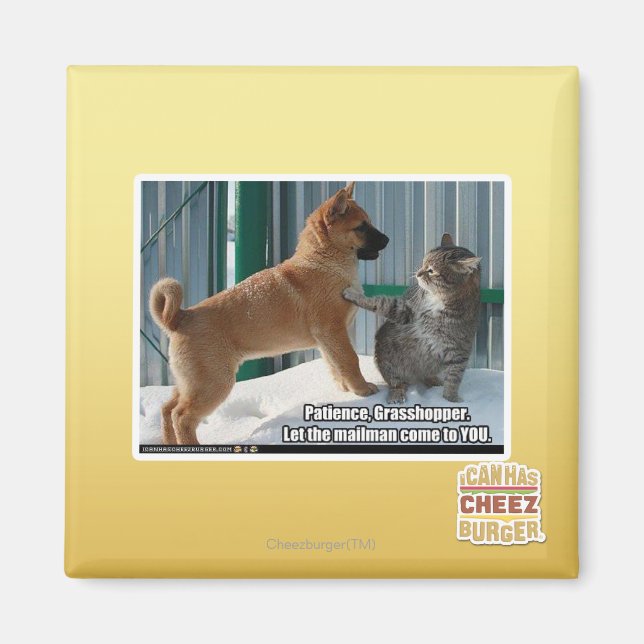 Geduld, Grasshopper. Magnet (Vorne)