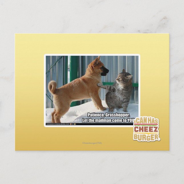 Geduld, Grasshopper. Postkarte (Vorderseite)