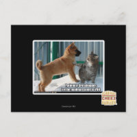 Geduld, Grasshopper.