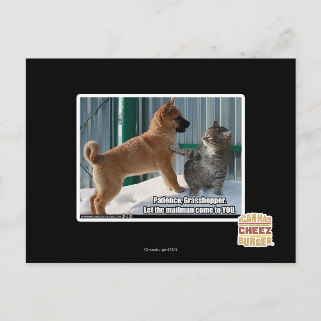 Geduld, Grasshopper. Postkarte (Vorderseite)