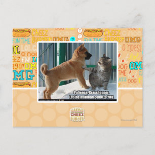 Geduld, Grasshopper. Postkarte