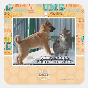 Geduld, Grasshopper. Quadratischer Aufkleber