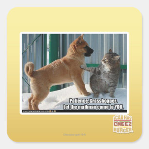 Geduld, Heuschrecke Quadratischer Aufkleber