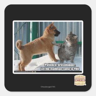 Geduld, Heuschrecke Quadratischer Aufkleber