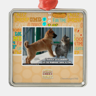 Geduld, Heuschrecke Silbernes Ornament