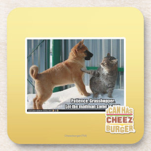 Geduld, Heuschrecke Untersetzer