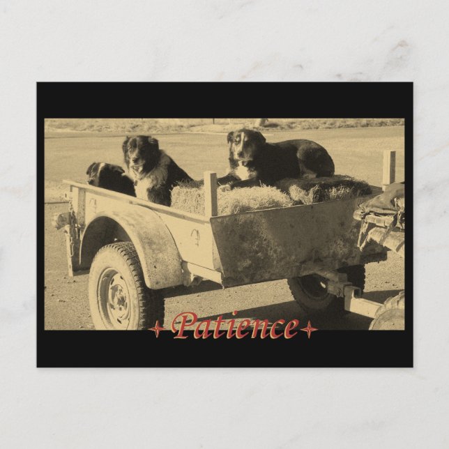 geduldig gewartet postkarte (Vorderseite)