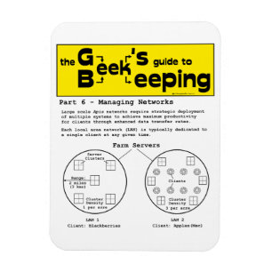 Geek Beekeeping (Netzwerke) - Magnet