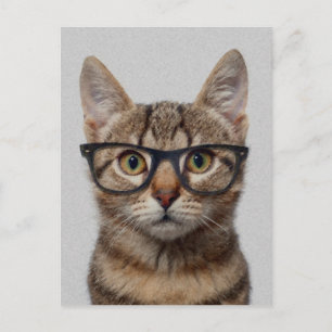Geek Cat Postkarte