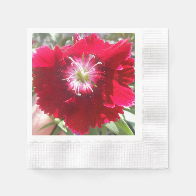 Geertje Serviette (Vorderseite)