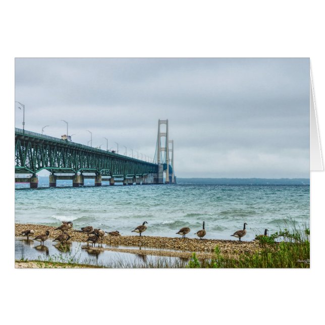 Geese auf Mighty Mac (Vorderseite (Horizontal))