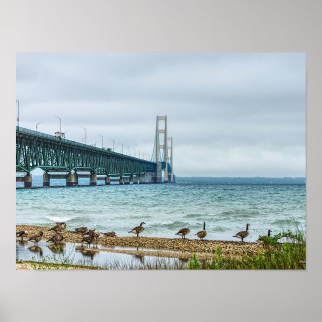 Geese auf Mighty Mac Poster (Vorne)