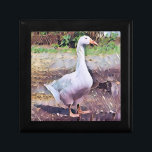 GEESE ERINNERUNGSKISTE<br><div class="desc">Ein Kunstdesign einer domestizierten Gans.</div>
