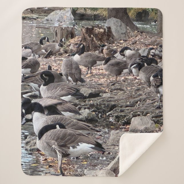 Geese in the Park Sherpa Blanket Sherpadecke (Vorderseite)