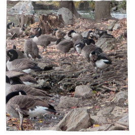 Geese in the Park Shower Curtain Duschvorhang