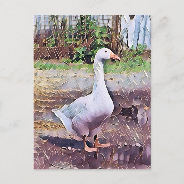 GEESE POSTKARTE (Vorderseite)