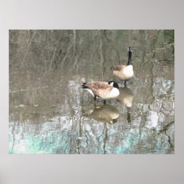 GEESE REFLECKS POSTER