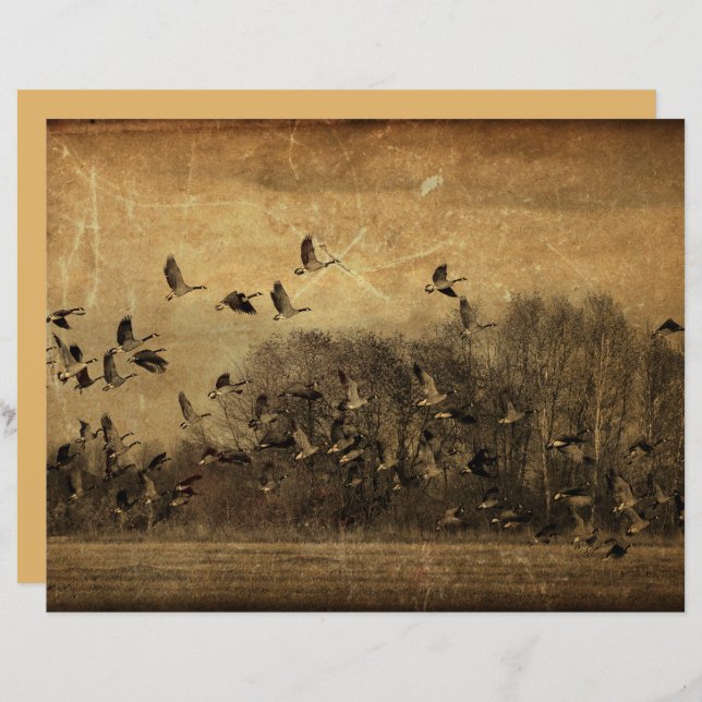 Geese Vintage Antique Sepia Wildlife Textur (Vorne/Hinten)