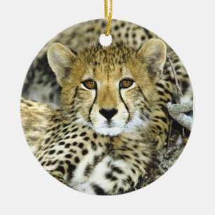 Geetah Cub 2 Keramik Ornament