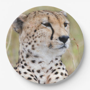 Geetah Portrait Big Cat Foto Pappteller