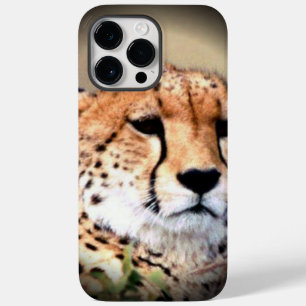 Geetah Portrait von Vollmond: Die Gnade der Natur Case-Mate iPhone Hülle