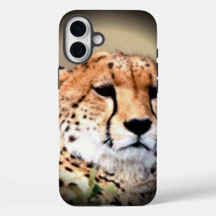 Geetah Portrait von Vollmond: Die Gnade der Natur iPhone 16 Plus Hülle