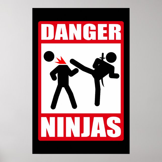 Gefahr Ninjas Poster (Vorne)