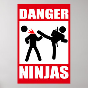 Gefahr Ninjas Poster