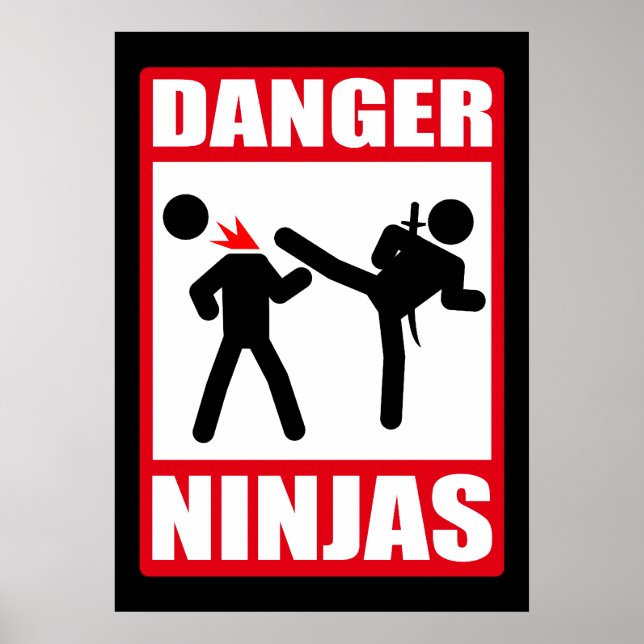 Gefahr Ninjas Poster (Vorne)