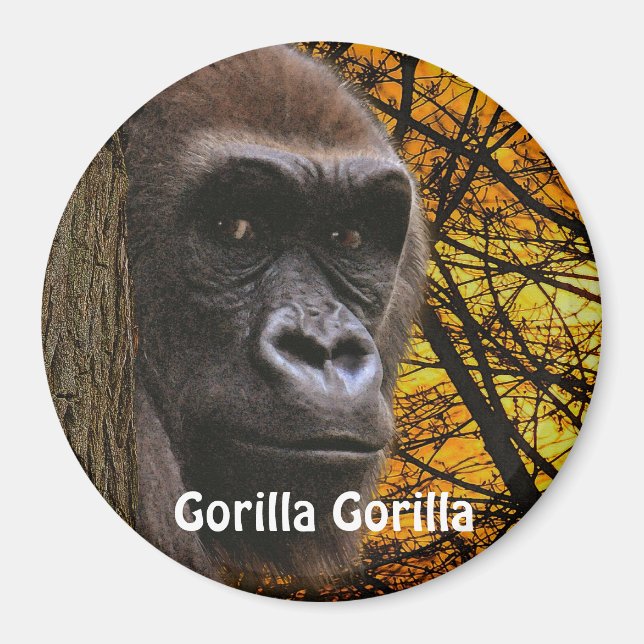 Gefährdete Afrikanische Gorilla Great Ape Art Magn Magnet (Vorne)