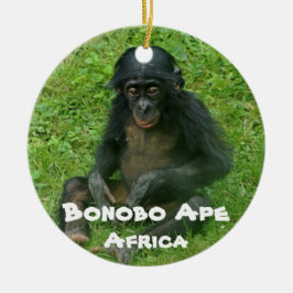 gefährdete Arten, Reihe Bonobo Ape Keramik Ornament