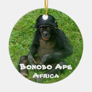 gefährdete Arten, Reihe Bonobo Ape Keramik Ornament