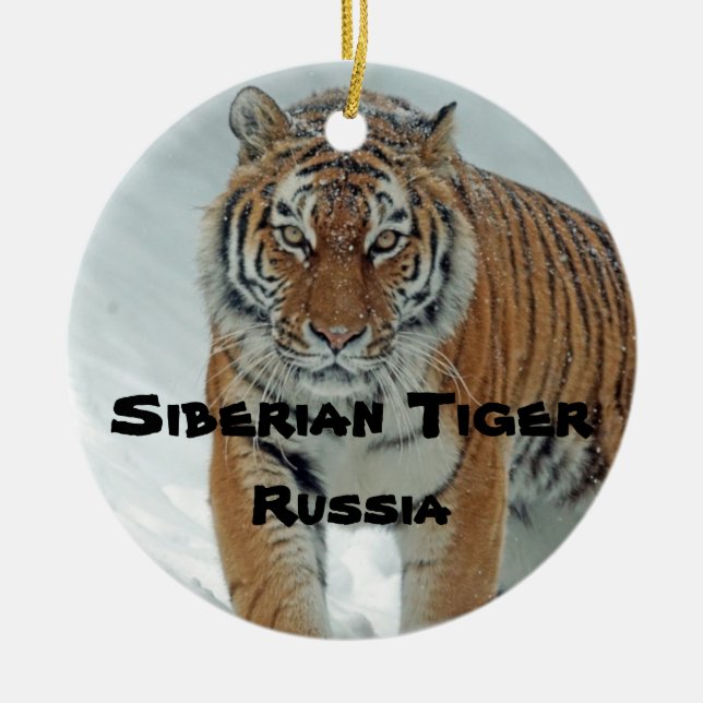 gefährdete Arten, Sibirische Tigerornamente Keramik Ornament (Vorne)