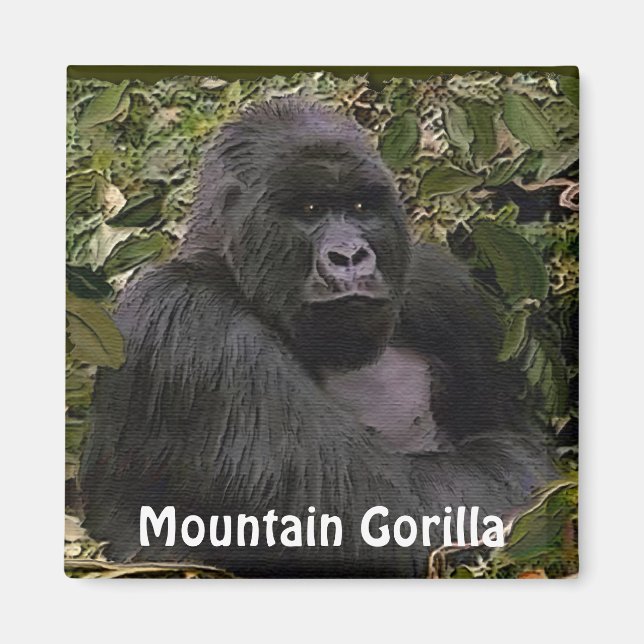 Gefährdete Berggora Magnet (Vorne)