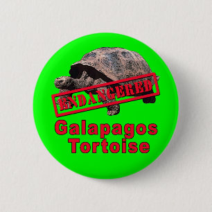 Gefährdete Kunst-T-Shirts Galapagos Schildkröte Button